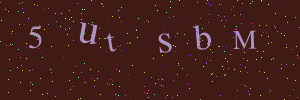 Validation image