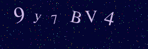 Validation image